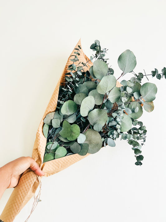 Silver Dollar & Baby Eucalyptus Bundle